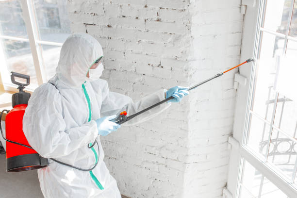 Best Biohazard Mold Removal  in Brooksville, MS